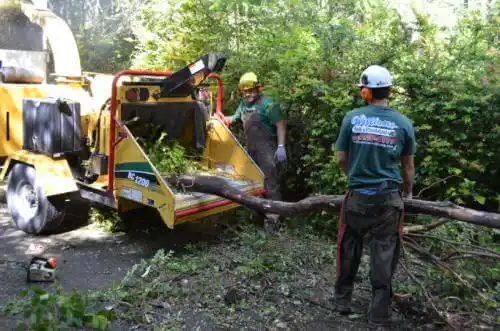 tree services Bennett